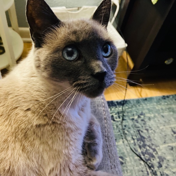 Happy 2021 💕🔥 - Picture 4 of 9